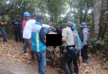 Rem Blong di Turunan Tajam, Dua Pemotor Tewas Tabrak Pohon di Sukasada