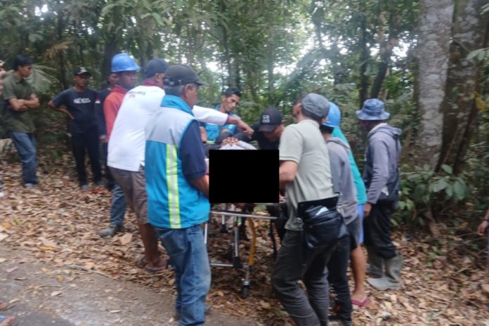 Rem Blong Di Turunan Tajam, Dua Pemotor Tewas Tabrak Pohon Di Sukasada 1