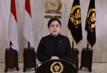 Sikapi Antrean BBM di Bali, Ketua DPR Minta Pasokan Ditambah