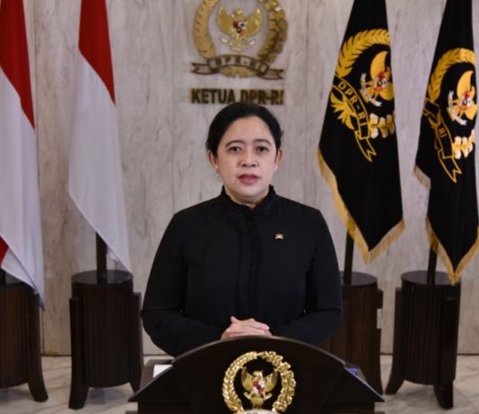 Sikapi Antrean BBM di Bali, Ketua DPR Minta Pasokan Ditambah