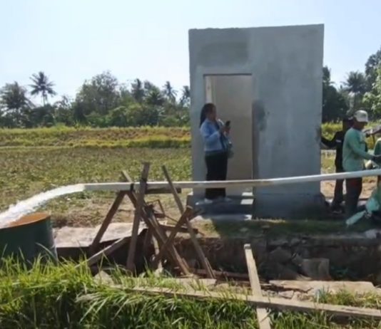 Sumur Bor Jadi Solusi Awal, Puluhan Hektare Padi Jembrana Puso Akibat Kemarau Panjang