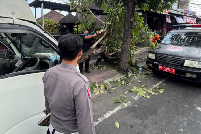 Tabrak Pohon, Sopir Mobil Boks Meninggal 1