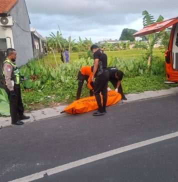 Tabrak Tiang Listrik, Pemotor Meninggal di Kerobokan Kelod