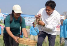 Tekan Inflasi, Diperpa Badung Produksi 174 Ton Bawang Merah