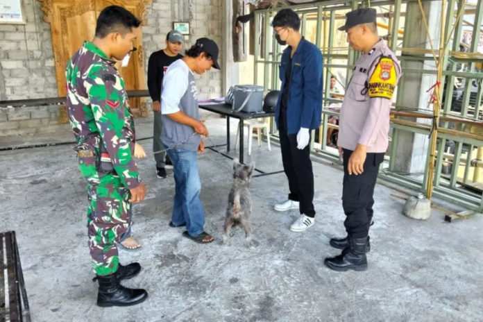 Vaksinasi Rabies Sasar Lima Banjar Di Penarukan 1
