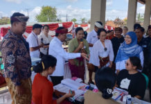 Wamenkes RI Tinjau Posyandu dan Puskesmas di Gianyar