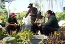 Warga Serangan Diberdayakan, Rawat Puluhan Ribu Bibit Tanaman dari 83 Spesies untuk Penghijauan